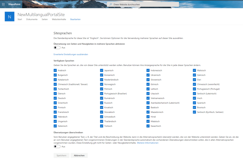 Multilingual Settings in a Website